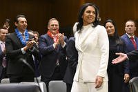 Tulsi Gabbard, President Trump's choice to be the Director of National Intelligence