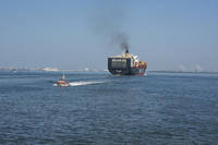 A crew from Coast Guard Station Charleston patrols Charleston Harbor
