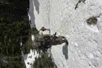 deputies participate in the search for Travis Decker, at an undisclosed location in Washington state