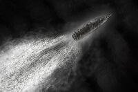 Venezuela-Strike Victims