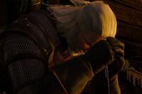 The bad ending in The Witcher 3 Wild Hunt