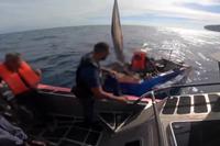 Video Shows US Coast Guard Stop Migrant Boat