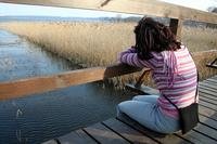 A sad woman sitting on a bridge over a marsh
