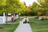 boy in suburbs with dog