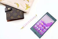 Cell phone and wallet