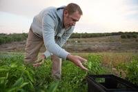 Morgan Boyd works at his 15-acre, family-owned farm, Pepper Creek Family Farms, in Arroyo Grande, California. (Photo by Susanna Frohman)